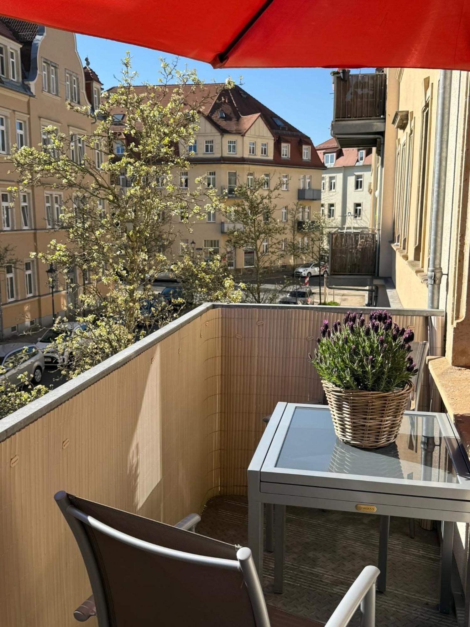 Apartment Elbdreams Cozy Design Dresden